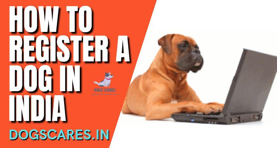 How to Register a Dog in India