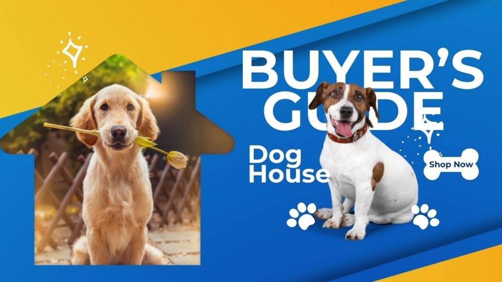 Buyers Guide on How to Select Best Dog House India