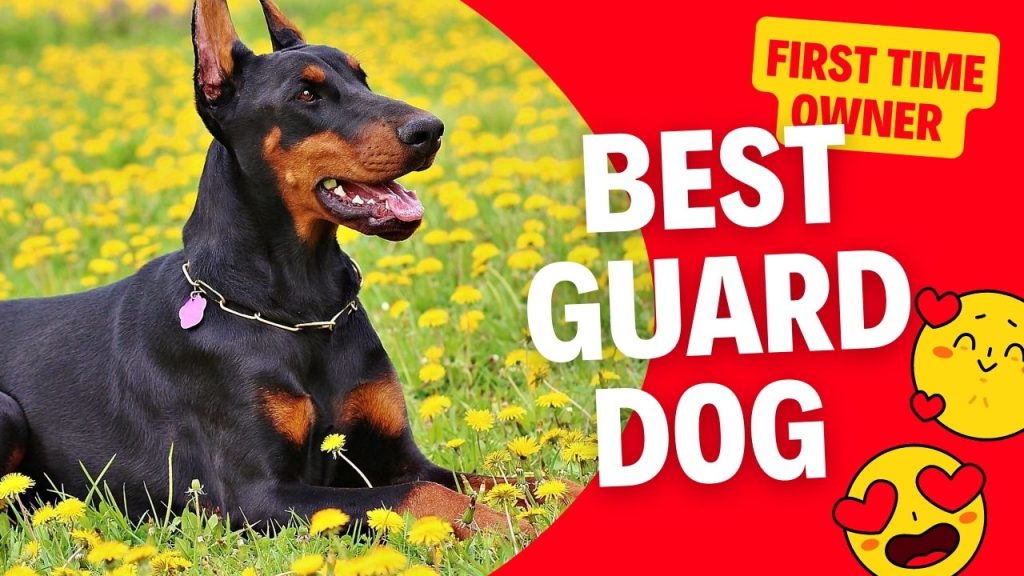 Best Guard Dog for First Time Owner in India