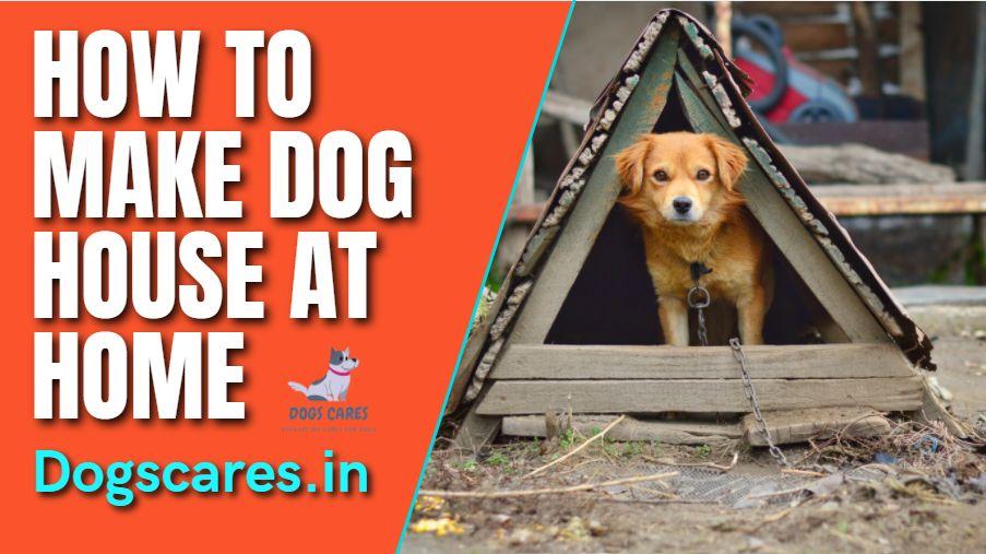 how to make dog house at home