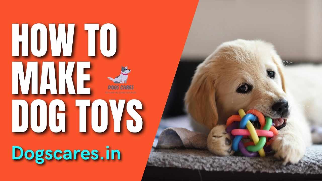 how to make dog toys