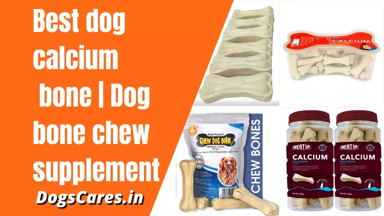 dog calcium bone