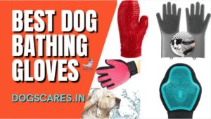 dog bathing gloves