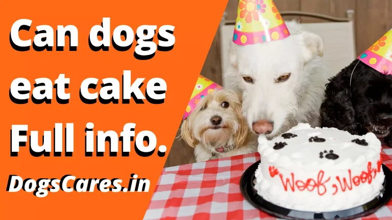 Can dogs eat cake