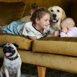 Best Dogs for Kids and Families