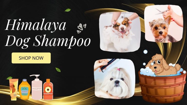 Aloe Vera Himalaya Dog Shampoo Price Online on Amazon